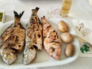 Restaurante Ze da Tasca 2