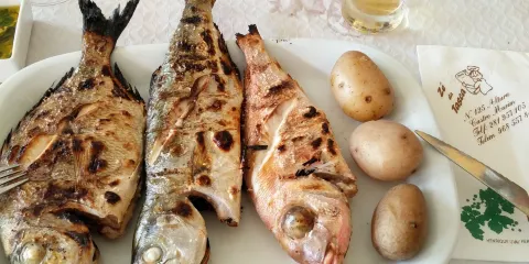 Restaurante Ze da Tasca 2