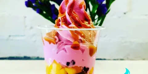 yzen Frozen Yogurt