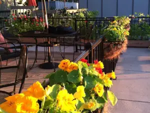 Firefly Coffee House
