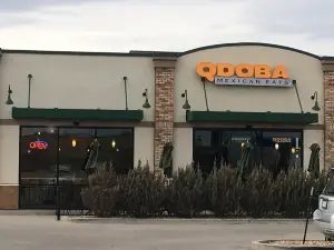 Qdoba Mexican Grill