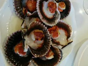 O'parrulo