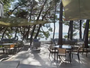 Beach bar "Pink Cricket"