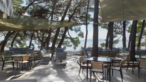 Beach bar "Pink Cricket" in 투체피