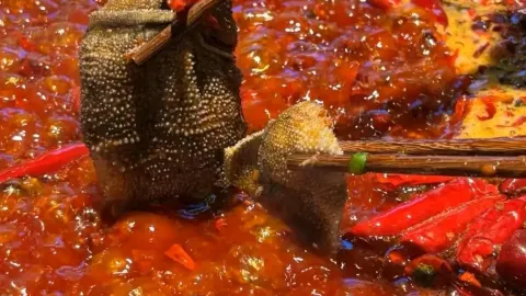 重庆临江门鲜货老火锅(盐亭县店) in หยานถิง