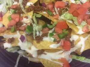 Salsa Burrito