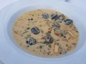 Caruso Due