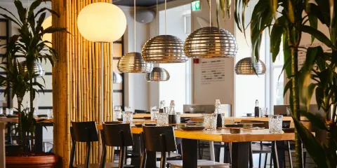 Oasia - Sushi & Wok