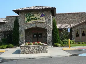 Olive Garden Italian Restaurant