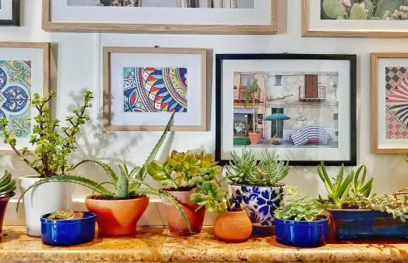 Sasa Sicilian Street Food