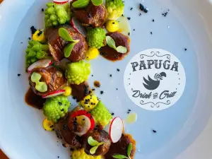 Papuga
