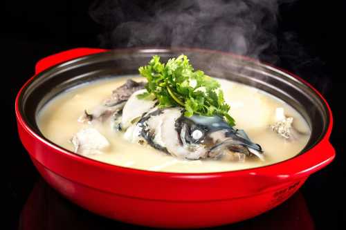 BAI YUN