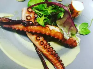 PAVITO - Essen mit Freu(n)den