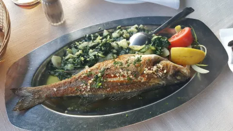 Restaurant Mijo in Zadar