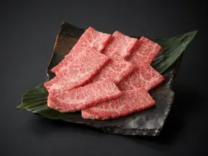 Popular Must-Visit Restaurants in Osaka