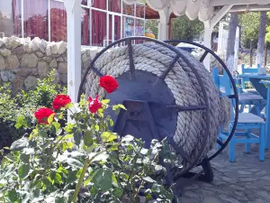 La Caru' cu Scoici