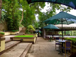 Top View Restaurant | ቶፕ ቪው ሬስቶራንት