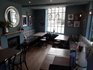 The Curious Table