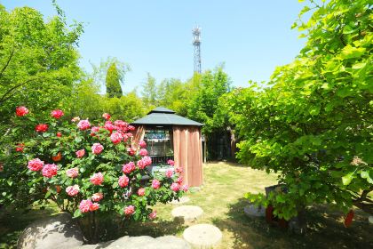 院中园园林餐厅