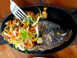 Terraza Restaurant