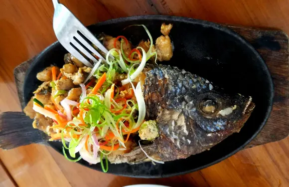 Terraza Cafe and Restaurant
