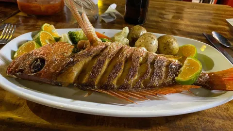 Morales House Grill in Jaco