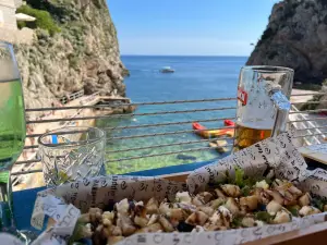 Beach Bar Dodo