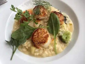 Open Bistro