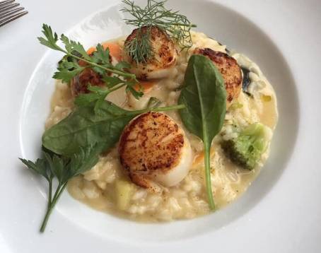 Open Bistro