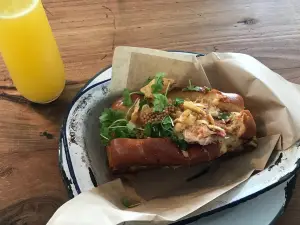 Playa Provisions