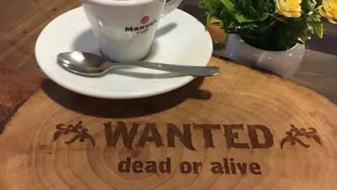 Wanted - Dead or Alive in 에리체