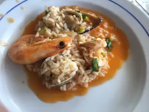 Mira Ponte