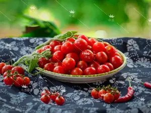 亓卉布依酸笋牛肉土菜园