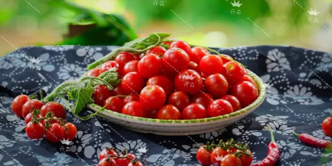 亓卉布依酸筍牛肉土菜園