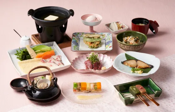 Ume No Hana Kagoshima