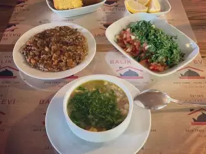 Dayinin Balik Evi