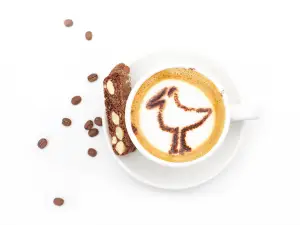 The Bird Watching Cafe