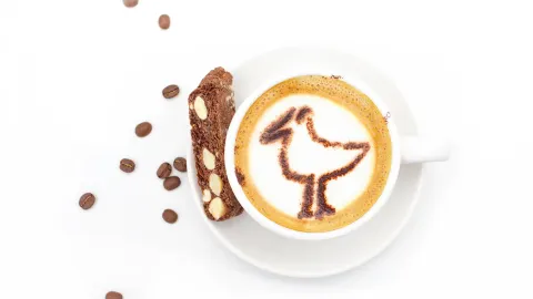The Bird Watching Cafe in Chitose