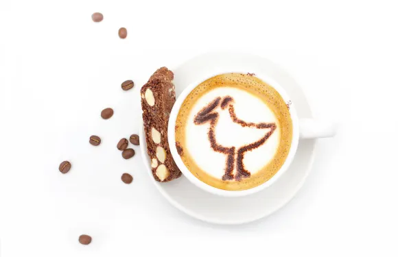 The Bird Watching Cafe