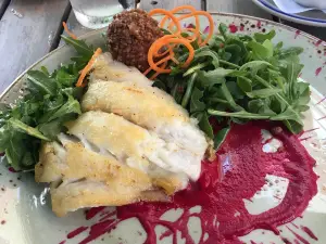 Saltine Oyster Bar