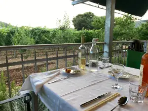 Fields Of Grace Vineyards Dining And Wine Tasting