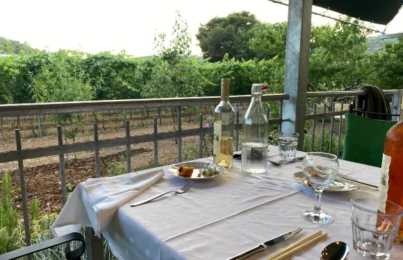 Fields Of Grace Vineyards Dining And Wine Tasting