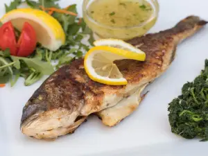 Restaurant Ancora