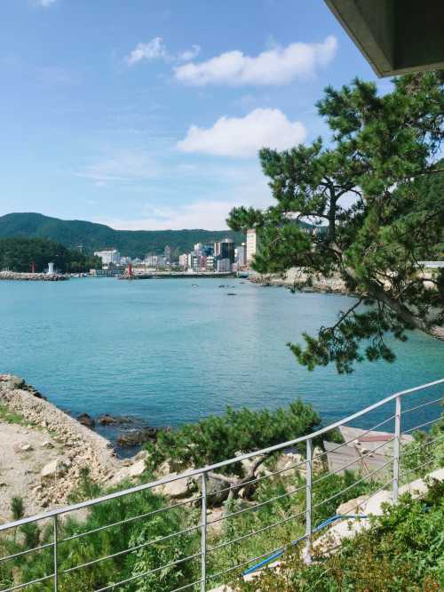 카페 윤 CAFE YOON