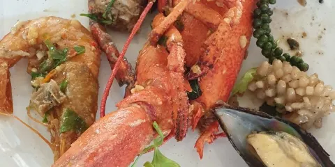King Crab Chiang Dao