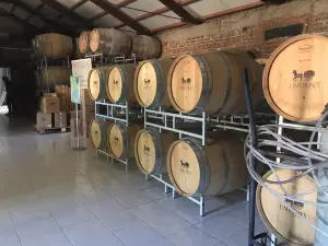 Umurbey Winehouse