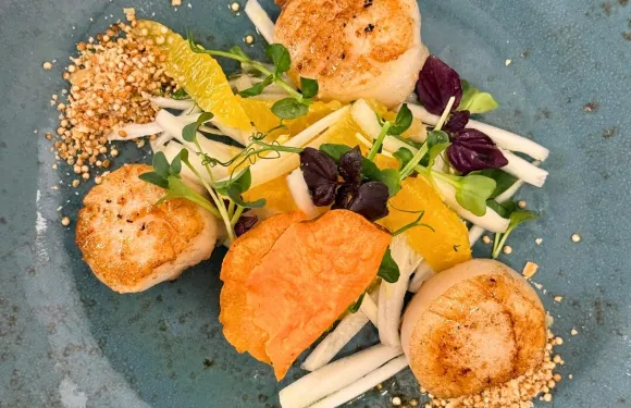FLOW International Cuisine