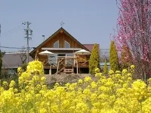Kazamidori