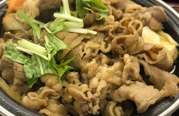 Yoshinoya Hirakata Route 1