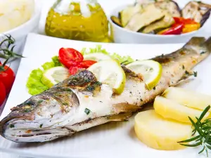 Misya meze grill